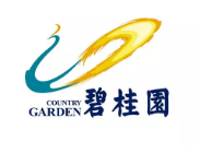 阳山碧桂园地产